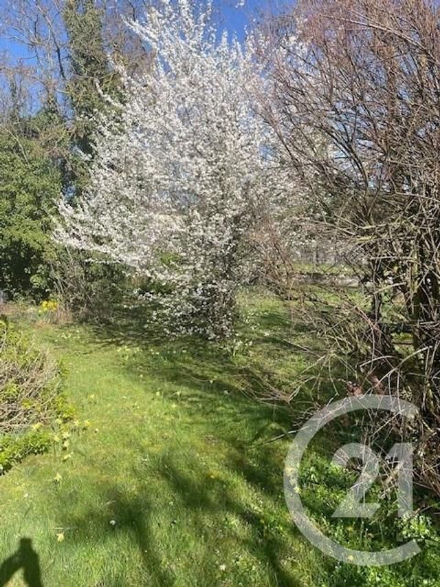 terrain à vendre - 397.0 m2 - DRAVEIL - 91 - ILE-DE-FRANCE - Century 21 Avantage Immo